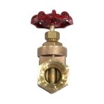 Brass Gate Valve (2)